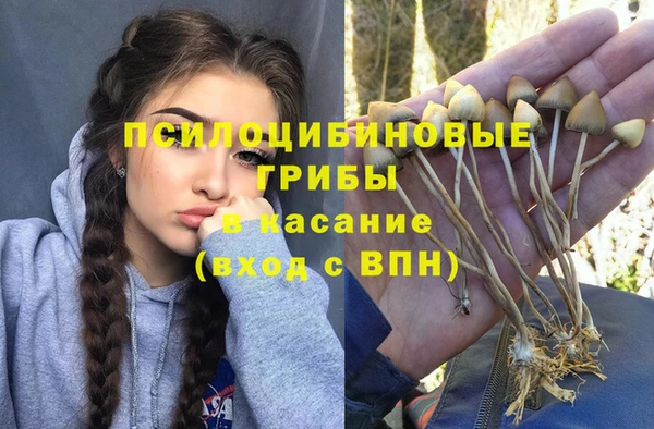 мескалин Вяземский