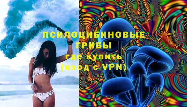 ГАЛЛЮЦИНОГЕННЫЕ ГРИБЫ Горнозаводск