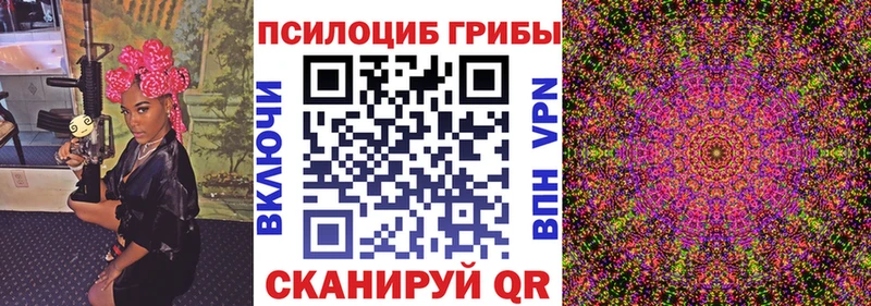 Галлюциногенные грибы Psilocybe Купить где Фролово
