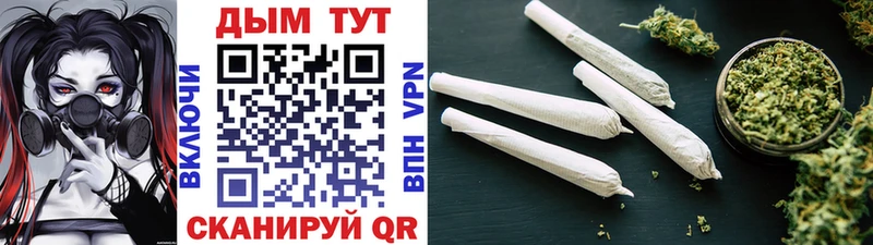 Купить закладки  Фролово  Конопля ГИДРОПОН 